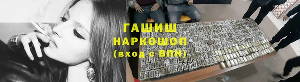 индика Верхний Тагил